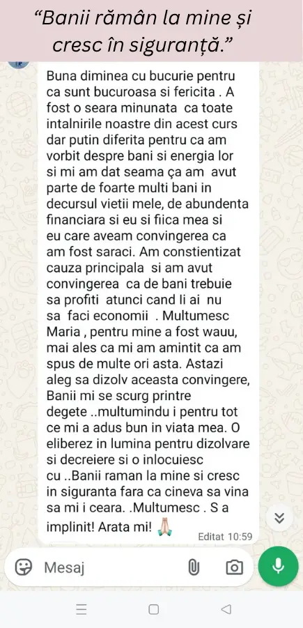 Captură de ecran cu mesajul de la Anca Zaharia