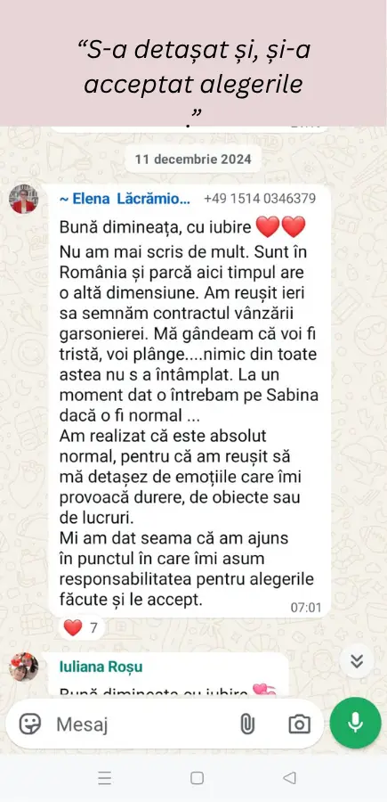 Captură de ecran cu mesajul de la Elena Lăcrimioara
