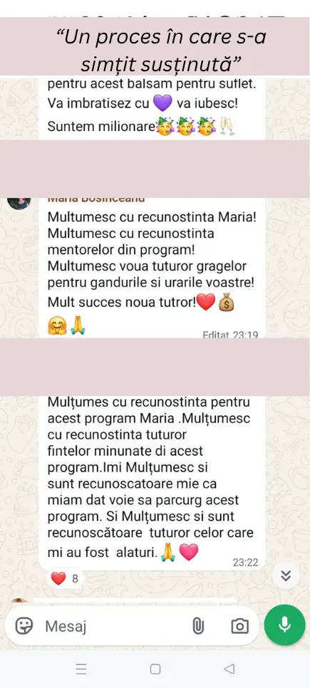 Captură de ecran cu mesajul de la Maria Bosinceanu