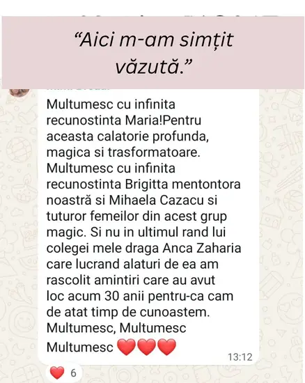 Captură de ecran cu mesajul de la Oana și Elena